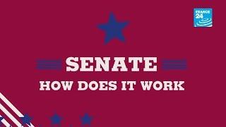 US Midterms: Senate, how does it work?