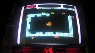 Taito Zoo Keeper Arcade Game Review - Zookeeper - 1982 TAITO