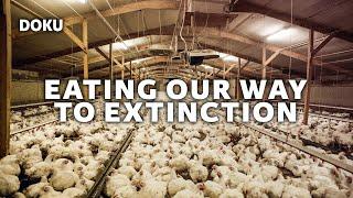 Eating Our Way To Extinction (Massentierhaltung weltweit | Tierdoku | Umweltdoku)