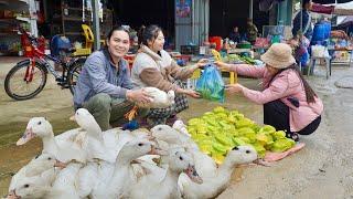 Harvesting star fruit and ducks to sell at the market, cooking, farm life, SURVIVAL ALONE