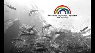 FRC MySchool-MyPlanet-MyVillage