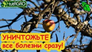 ПЕРВАЯ ОБРАБОТКА САДА ВЕСНОЙ: ОДНО СРЕДСТВО для ВСЕХ растений, без ожогов и химии. Мощное,безопасное