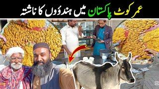 Street Food Pakistan Umar Koot | Sindh Street Food And Hindu Culture | Sindhi  Life | Break Fast