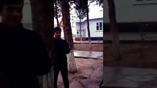 #zangiru #зангири #овозизинда
