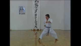 Tekki Sandan - Efthimios Karamitsos - Karate - Kata - Shotokan