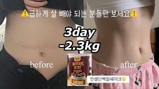 다이어트vlog5)폭식️급빠 굴레에서 벗어나질 못해../2주동안 5키로 빼는 현실적인 방법/존맛단백질쉐이크!!/급찐급빠