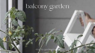 Simple Living in the City | Balcony Garden Vlog