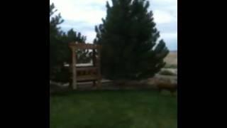 Alejandro bicycle kick