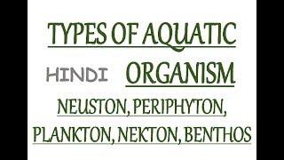 Aquatic Organisms Type - Neuston, Periphyton, Planktons, Nekton, Benthos (In Hin)