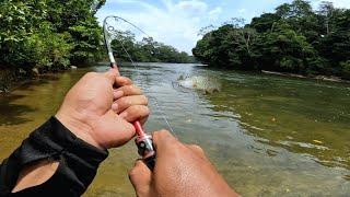 Pemancing Mana Yang Tak Tergoda Mancing Di Spot Ini‼️Casting Hampala Mancing Juaro