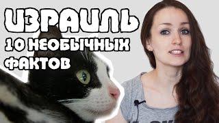 Что удивит русского в Израиле? | 10 необычных фактов об Израиле | Жизнь в Израиле