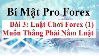 Bí mật Pro Forex  Bài 3 - Luật chơi Forex - Lot là gì? Đòn bẩy Forex là gì? Pip là gì? Point là gì?