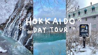 Eating in Sapporo + Day tour to Asahiyama Zoo, Biei Blue Pond, Shirahige Waterfall 