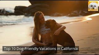 Top 10 Dog-Friendly Vacations in California ️| Dog-Friendly Trips in California