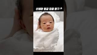 신생아 얼굴 집중 탐구 #아기 #baby #신생아 #육아일기 #vlog #육아브이로그 #familyvlog #cute #kawaii #여아 #탐구생활