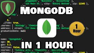 Learn MongoDB in 1 Hour  (2023)