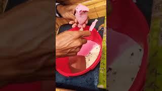Yummy Ice Cream Cone Snacks! #shorts #short #icecream #icecream #snacks #snacks #yummy #yum #deli...
