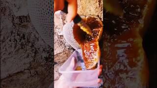 Extreme Honeycomb harvesting |Harvesting honey from beehive  EP157 #shorts #satisfying #honeycomb