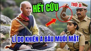 Người từng giúp tôi vượt biên... - Sư Thích Minh Tuệ hé lộ góc khuất sự ra đi của ông Báu mới nhất