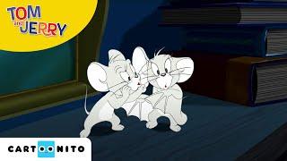 Tom & Jerry auf wilder Jagd | Geister Duo | Cartoonito