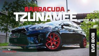 Felgen Barracuda Tzunamee EVO auf dem Kia Proceed GT by Bine