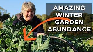 Fantastic Winter Vegetables for your Garden | Towards Self Sufficiency