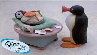 Pinga is Born  | Pingu - Official Channel | Cartoons For Kids