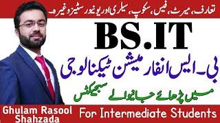 BSIT | Scope BS information technology | Subjects of bsit | how to become IT expert | BSIT Jobs