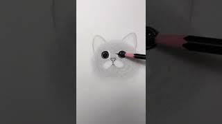 Cómo DIBUJAR un GATO realista PASO a PASO