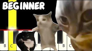 3 Famous Cat Songs - Slow and Easy Piano Tutorial - Beginner