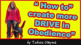 How to create more DRIVE in Obedience