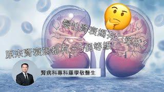 【腎衰竭】抽血驗腎功能指數 滿分是幾多？突然夜尿增多、脚腫、身體痕癢或是腎衰竭跡象