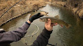 Wisconsin Trout Fishing - 2/1/2025