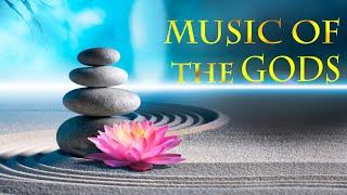  a life saving video  |Music of the Gods| 