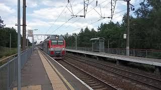 Russian Railways.  Passenger train.  Most trains in Russia are just like that.