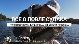 Как ловить судака - полный курс. Приманки, места, поиск, эхолот,  проводка, календарь, спиннинги