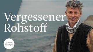 Seegras: Vergessener Rohstoff | Werde bewegt!