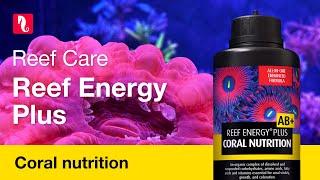 Red Sea Reef Energy Plus | Complete, all-in-one Coral Food