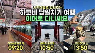 하코네 여행 당일치기 코스 ⏰ 이 영상 보고 그대로 따라 가세요!