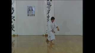 Nijushiho - Efthimios Karamitsos - Karate - Kata - Shotokan