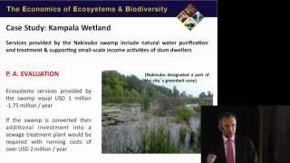 "How do we value nature?" lecture by Pavan Sukhdev