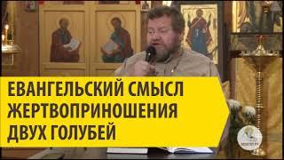 ЕВАНГЕЛЬСКИЙ СМЫСЛ ЖЕРТВОПРИНОШЕНИЯ ДВУХ ГОЛУБЕЙ Священник Олег Стеняев