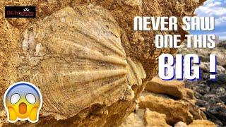 Trekking, Exploring, Bouldering Ta’ Qassisu - Ras id-Dawwara... Malta, CNG Trekventures 28/2021