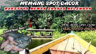 SPOT GACOR  IKANYA MELIMPAH BESAR-BESAR - MANCING CIRATA