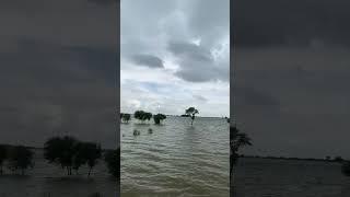 BEAUTIFUL VEIW OF FLOOD IN MY VILLAGE CLOUDS ️ ️