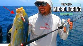 Micro Jigging is AWESOME | 17 Different Species | Slow Pitch Jigging | Offshore Fishing