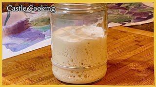 No Discard Baby Sourdough Starter Recipe / Making No Discard Sourdough Starter 천연발효종 만들기