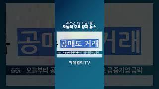 오늘부터 공매도 재개... 대차잔고 급증기업 급락 (20250331)