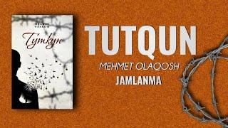 Tutqun | Audio Kitob | Mehmet Olaqosh