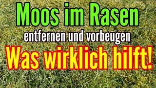 Moos im Rasen das hilft wirklich - Die besten TIPPS gegen MOOS im Rasen entfernen und vorbeugen